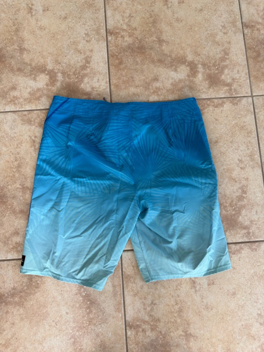 Quiksilver Men's Blue Ombre Palm-Print Board Shorts